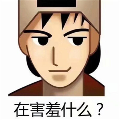 >开·云官方网站官网版-开·云官方网站最新版客户端